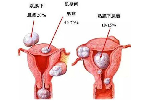 QQ图片20190321171351.jpg